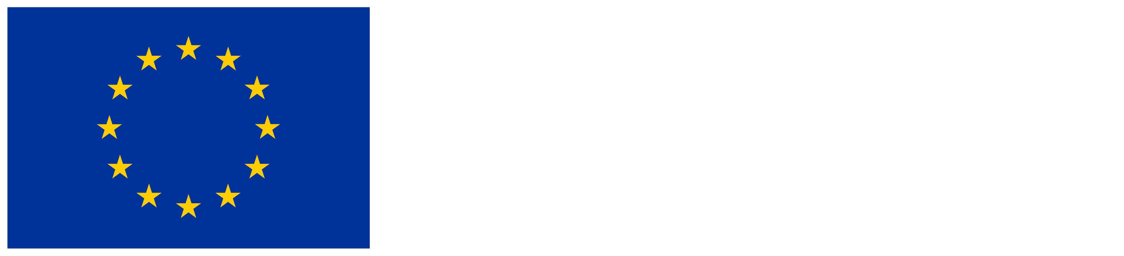 Finanziato dall'Unione europea